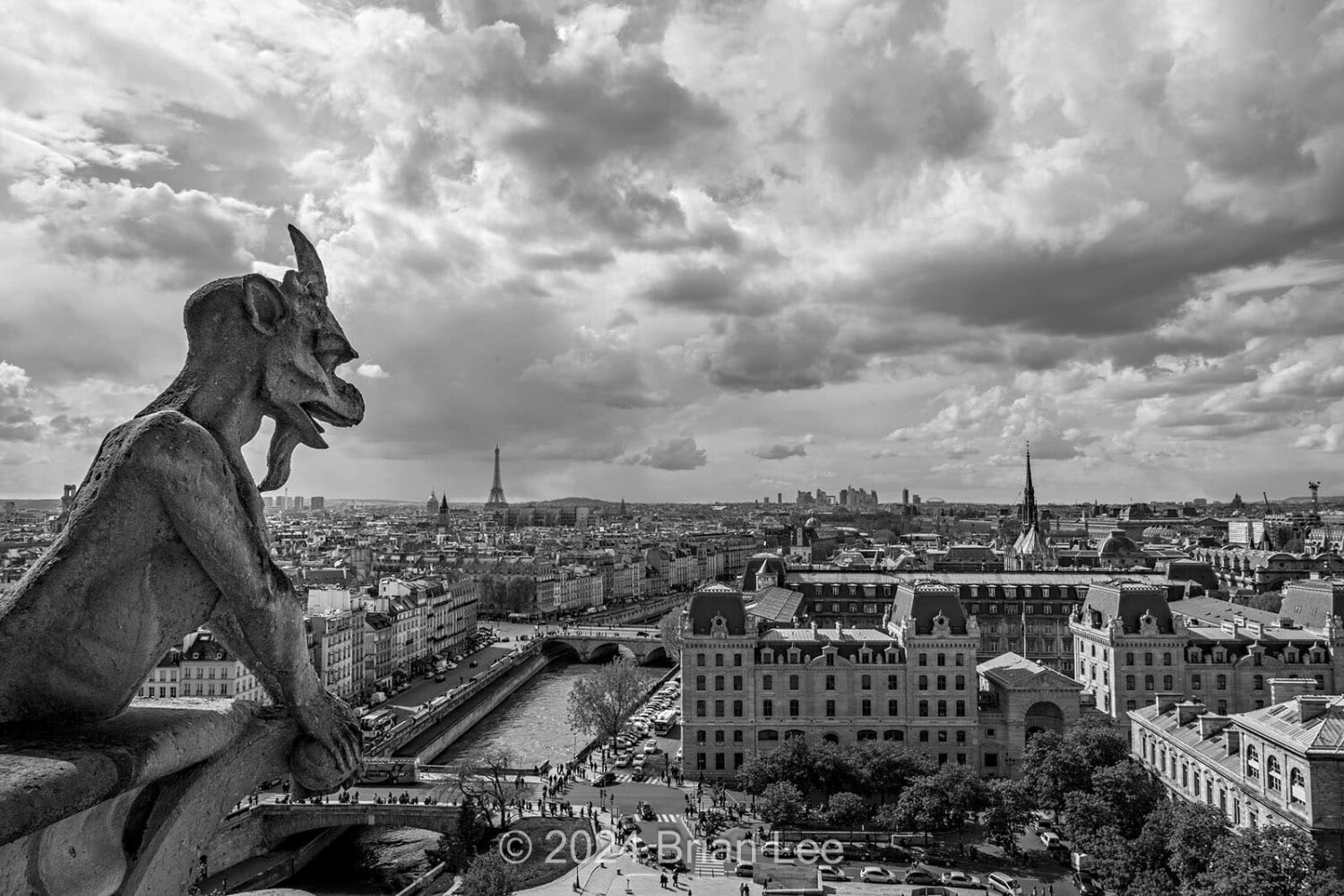 Brian P. Lee Photography - Paris from Notre Dame