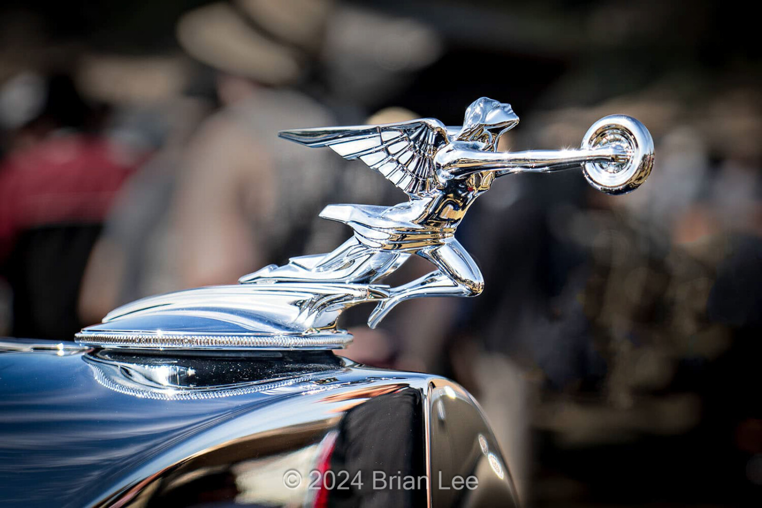 Brian P. Lee Photography - Packard