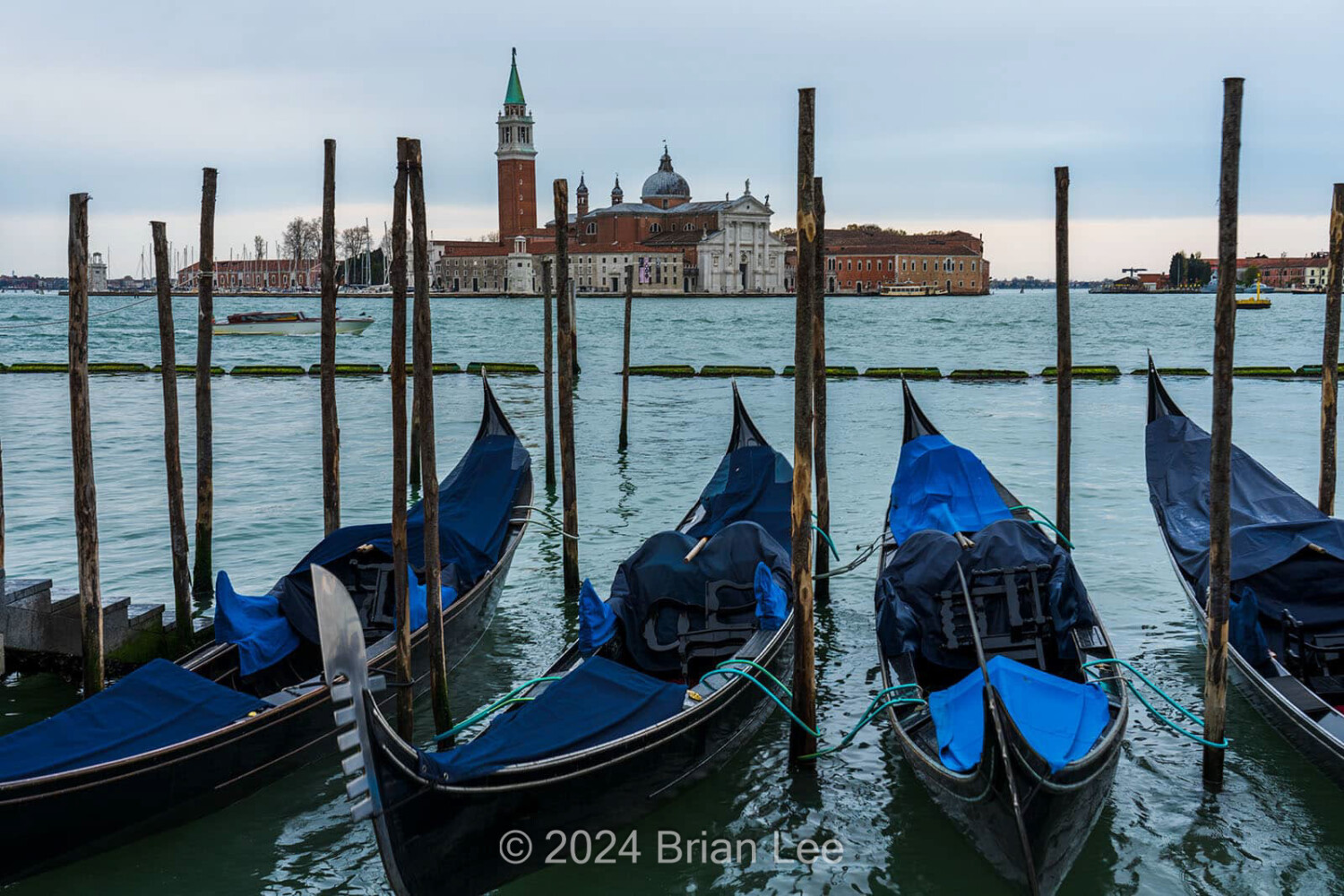 Brian P. Lee Photography - Gondolas, St. Marks's Square, Venice